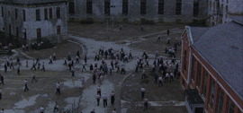 IMG_7429.GIF