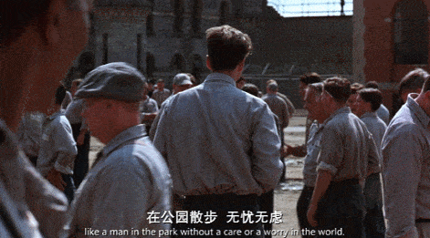 IMG_7446.GIF