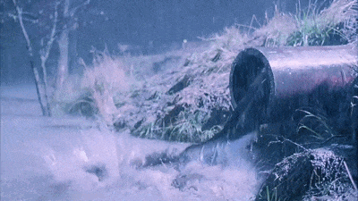 IMG_7494.GIF