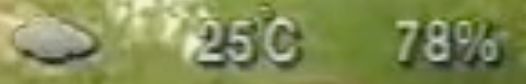 1.jpeg 1.jpeg