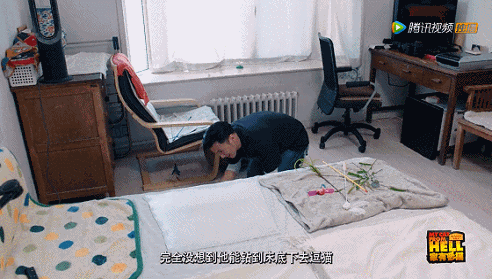 IMG_5476.GIF