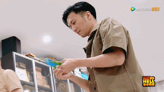 IMG_5481.GIF