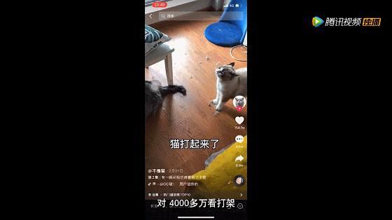 IMG_5505.GIF