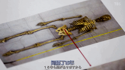 IMG_6516.GIF