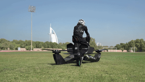 11.gif