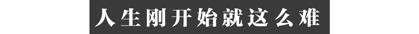 IMG_7441.PNG
