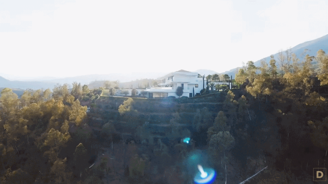 IMG_7170.GIF