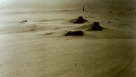 IMG_7292.GIF