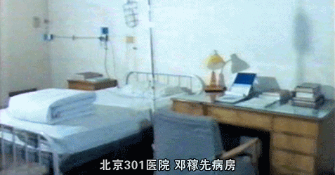 IMG_7302.GIF