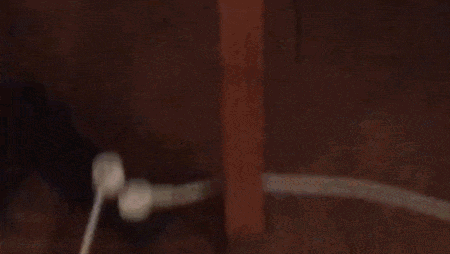 IMG_7784.GIF IMG_7784.GIF