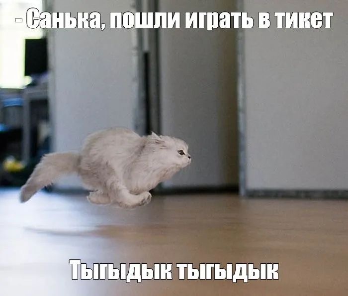 IMG_7789.JPG IMG_7789.JPG