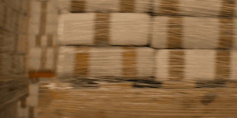 IMG_4035.GIF
