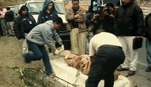 IMG_4055.GIF