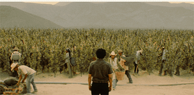 IMG_4057.GIF