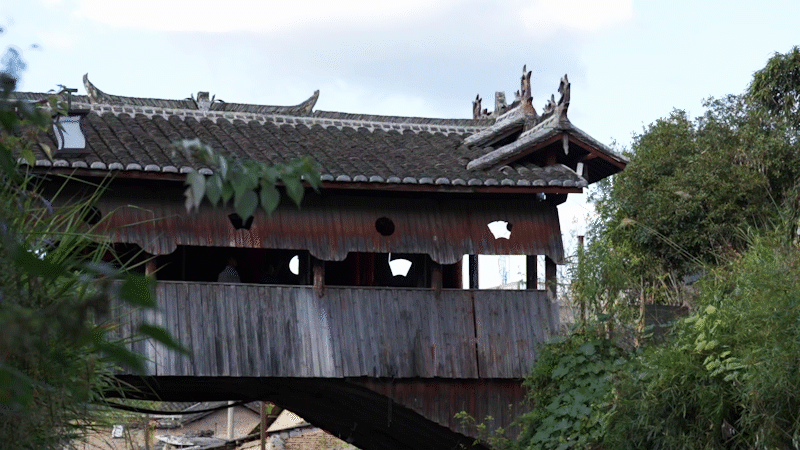 IMG_4073.GIF