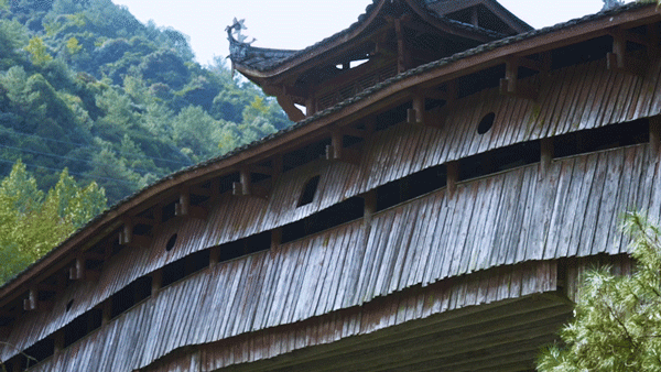 IMG_4081.GIF