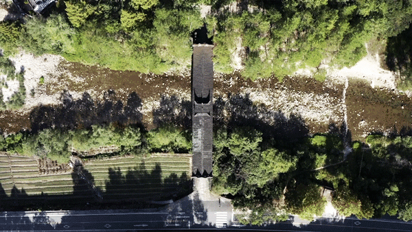 IMG_4086.GIF