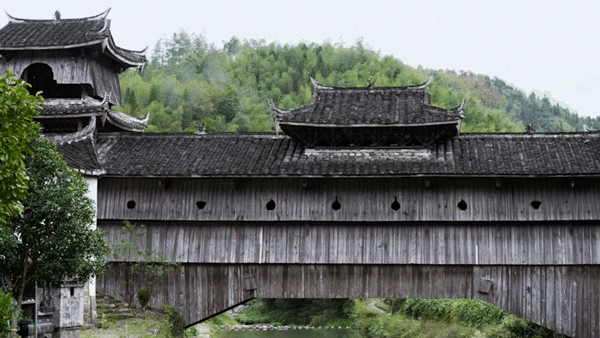 IMG_4092.GIF