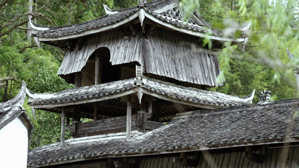 IMG_4094.GIF
