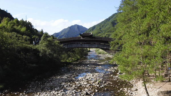 IMG_4096.GIF