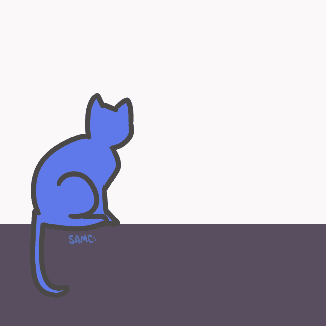 IMG_4482.GIF