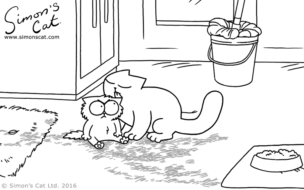 IMG_4478.GIF