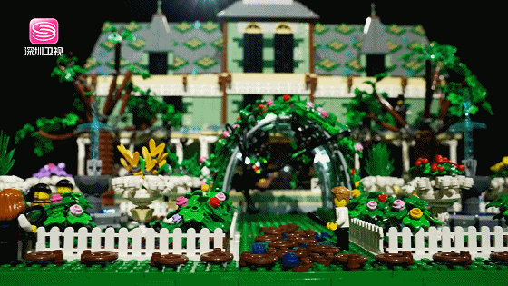 IMG_4699.GIF