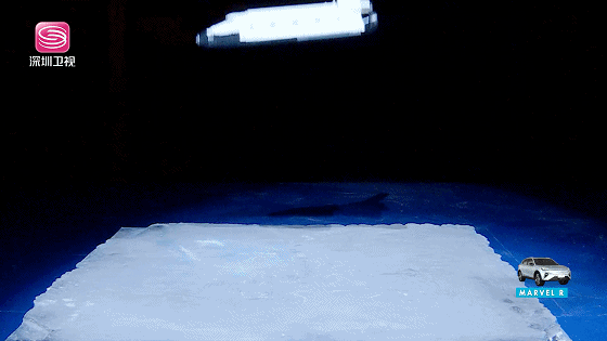 IMG_4737.GIF