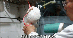 IMG_5514.GIF