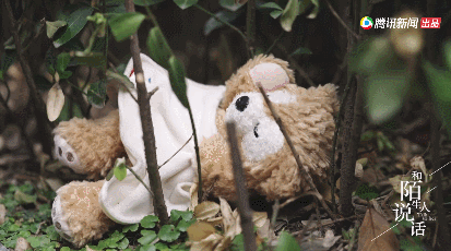 IMG_5543.GIF