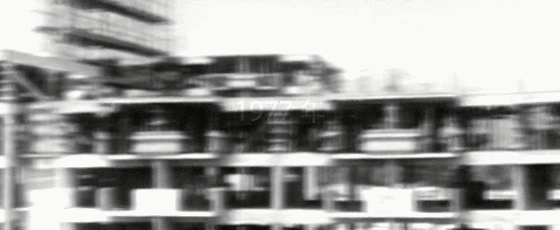 IMG_5559.GIF