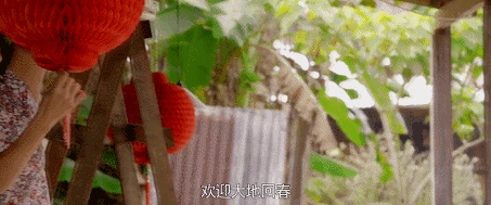 IMG_5565.GIF