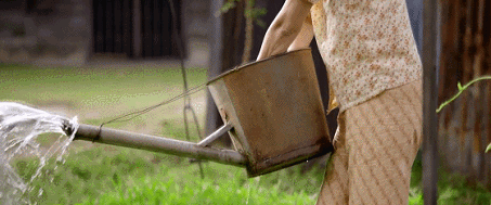 IMG_5589.GIF