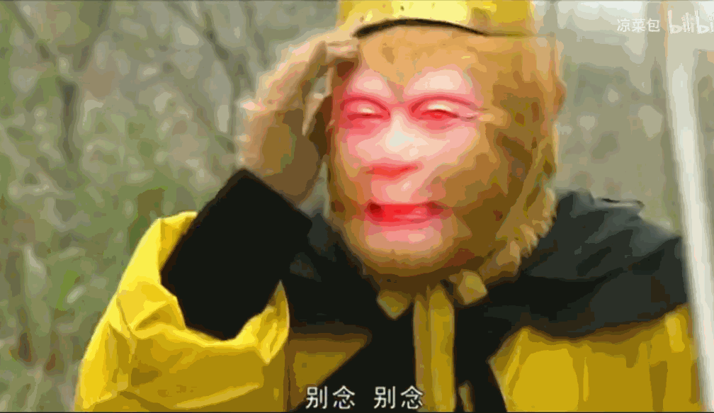IMG_5703.GIF