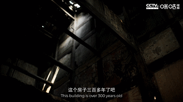 IMG_1789.GIF