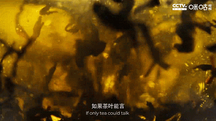 IMG_1807.GIF