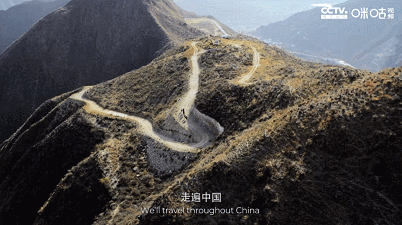 IMG_1808.GIF