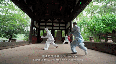 IMG_1816.GIF