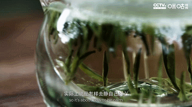 IMG_1817.GIF
