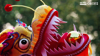 IMG_1818.GIF