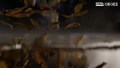 IMG_1837.GIF