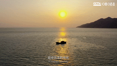 IMG_1836.GIF