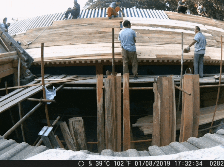 IMG_5811.GIF