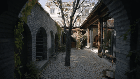 IMG_5815.GIF