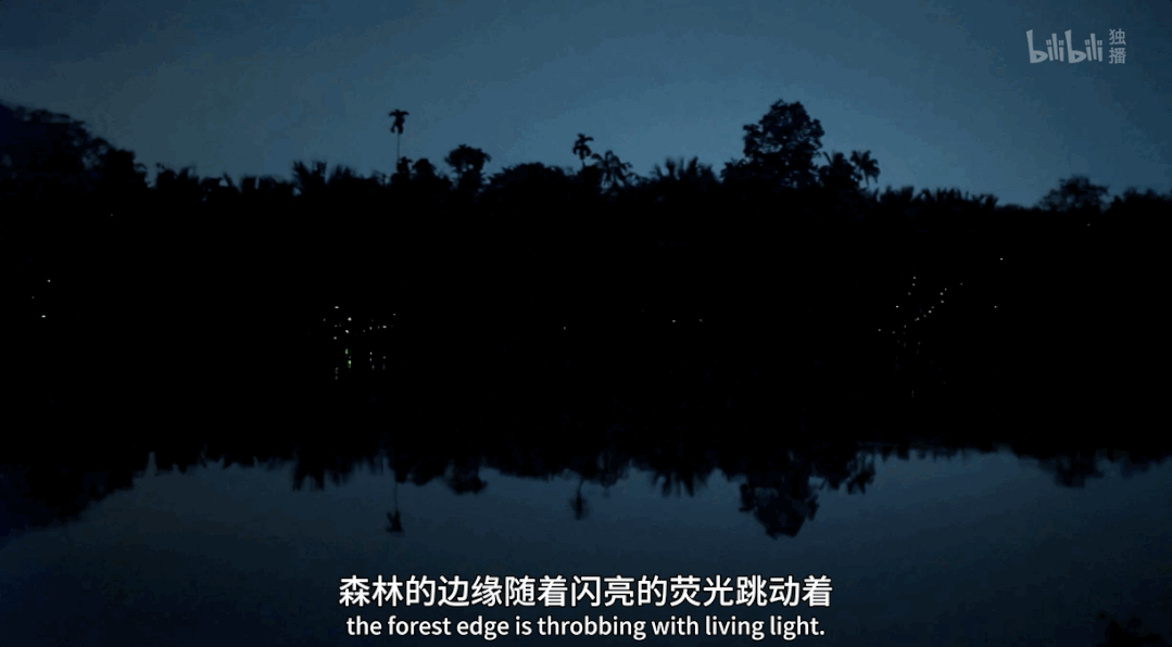 IMG_6293.GIF