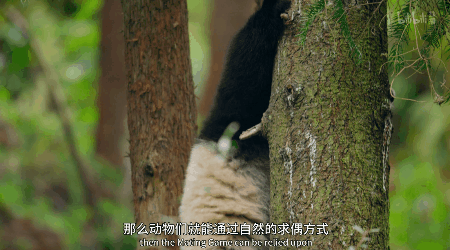 IMG_6326.GIF