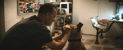 IMG_6960.GIF