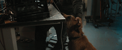 IMG_6967.GIF