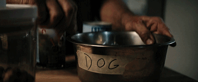 IMG_6979.GIF