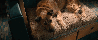 IMG_6992.GIF